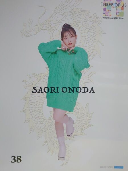 ピンナップポスター 小野田紗栞 つばきファクトリー ピンポス
