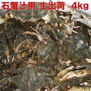 活梱包「生出荷！石蟹小サイズ４kg」 カニ汁用 蟹汁 味噌汁 中華料理 約80杯 イシガニ 蟹料理 蟹出汁ラーメンに！贈答に！の画像1