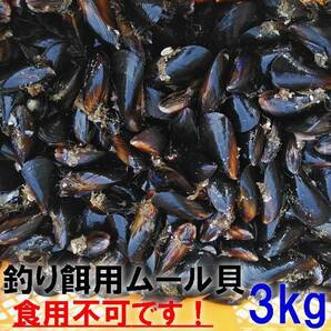 釣り餌に ムール貝３ｋｇ３キロ イガイ カラス貝 ムール貝 釣りエサ クロダイ 黒鯛 チヌ 石鯛 コブダイ カワハギ釣りに 冷凍餌 冷凍エサ★の画像1