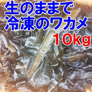 [ raw. .. freezing ]. wakame seaweed!10kg(1kg go in vacuum pack sack ×10 piece ). tortoise taste ... salad . salt warehouse is ... person . recommendation.. pine island .. shop 