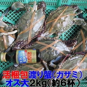 ワタリガニ オス大サイズ 渡り蟹 ガザミ ケジャンにも！活発送 ２ｋｇ（約６杯）