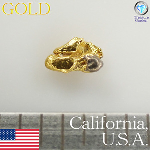 トレジャーG) 【セレクト 1粒】 アメリカ カリフォルニア産 自然金 約3mm　　(ゴールド ナゲット 原石 砂金) [St-GUC6-1a]