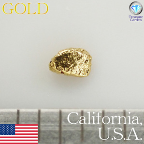 トレジャーG) 【セレクト 1粒】 アメリカ カリフォルニア産 自然金 約2mm  (ゴールド ナゲット 原石 砂金) [St-GUC6-1i]の画像1