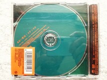 D【 あまい果実 / スガシカオ 】プロモーション用・見本盤　CDは４枚まで送料１９８円_画像2
