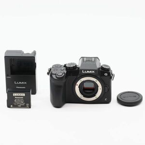 【極上品】Panasonic LUMIX G7 #1970