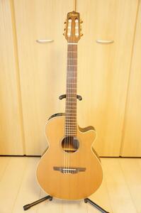 Takamine NPT-110N