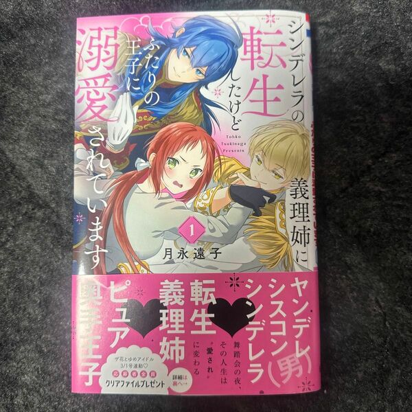 シンデレラの義理姉に転生したけどふたりの王子に溺愛されています 1