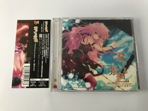 TE841 WhiteFlame presents feat. 巡音ルカ / 君のいる景色 【CD】 1203
