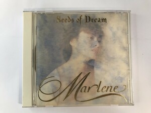 TI215 三井不動産 マリーン MARLENE / シーズ・オブ・ドリーム Seeds of Dream 【CD】