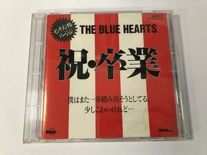 TF883 THE BLUE HEARTS ブルーハーツ / 祝 ・ 卒業 センチメンタルバージョン 【CD】 130