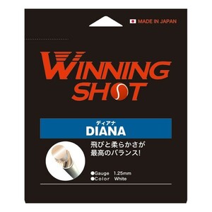 値下交渉OK☆ウイニングショット/ディアナ 125/Diana 125/ナイロンストリング/モノマルチ/柔らかく高反発/在庫4/まとめ買い&割引OK