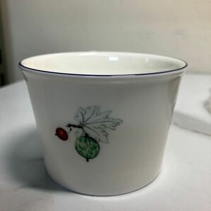 k2404-3144 WEDGWOOD FRUIT SYMPHONY カップ &ソーサー 2客セット 未使用品① 60サイズ梱包予定の画像6