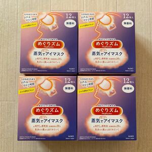 めぐりズム 蒸気でホットアイマスク 無香料 12枚入×4セット