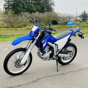 YAMAHA ヤマハ WR250R/外装,コンディション自信あり/3690km 美車 無事故,無故障,無転倒車売り切り YZ250R/WR250X/XT250Xの画像3