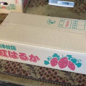 貯蔵品 優品 5キロ さつまいも 紅はるか からいも 甘藷 熊本県 大津町 農家直送 名産品 焼き芋の画像6