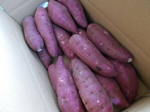 Сельскохозяйственный продукт -класс продукт стареет сладкого картофеля Haruka 5 км от 5 км сладкого картофеля, картофеля, префектура otsu -Cho, медовый картофель