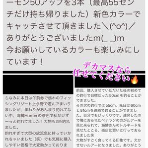 【ロックトラウトSPカラー】管釣り エリアトラウト 【形状記憶】海鱒スパイラルPro4本セット 左右巻きの画像7