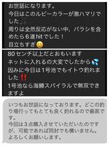 【2024新色食わせカラー】管釣り　エリアトラウト　【形状記憶】海鱒スパイラルHunter4本セット　左右巻き_画像10