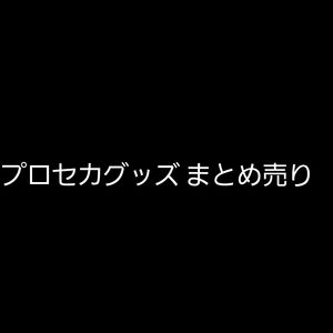 プロセカ　プロジェクトセカイ　缶バッジ　ぷちぬいマスコット　称号バッジ　クリアファイル