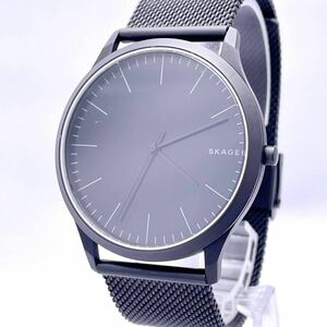 SKAGEN スカーゲン SKW6422 腕時計 ウォッチ クォーツ quartz 黒 ブラックフェイス P316