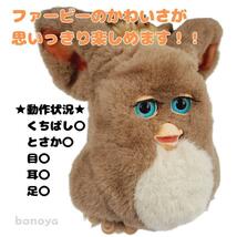 ファービー 2 コーヒー クリーム 青目 動作確認済み 1000 英語 furby 2005 インテリア ヴィンテージ 大きなぬいぐるみ 電子ペット_画像2