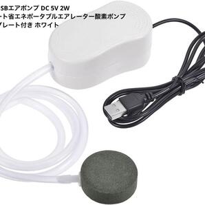 【お買い得】uxcell ミニUSBエアポンプ DC 5V 2W mj-208