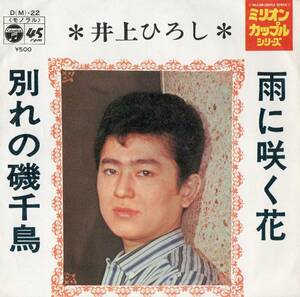 1971年昭和46年 井上ひろし 雨に咲く花・別れの磯千鳥 シングルレコード D(M)-22 昭和歌謡 和モノ?