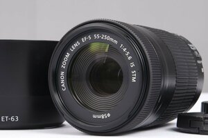 【 極美品 | 動作保証 】 Canon EF-S55-250mm F4-5.6 IS STM 【 互換レンズフード 追加付属 】