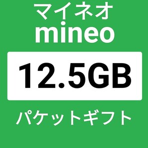 パケットギフト マイネオ 12GB ＋500MB mineo の画像1