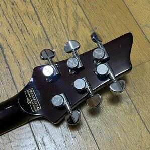 schecter diamond series classic c-1 duncan ツリーオブライフシェクター ダンカン スルーネックの画像6