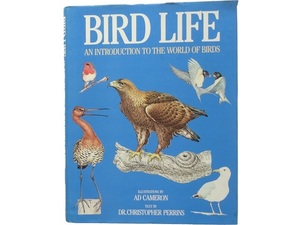  иностранная книга * мир. птица. материалы сборник книга@ животное сырой .