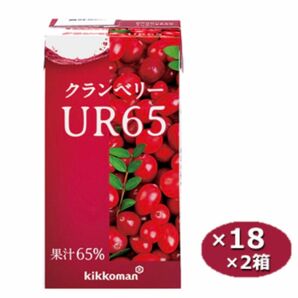 キッコーマン クランベリーUR65　125ml 紙パック×18本×2