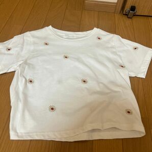 Tシャツ ホワイト オフホワイト nemne