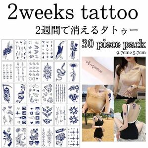 【E】ミニジャグアタトゥー30枚セット 2週間で消えるタトゥー イベント タトゥーシール