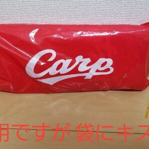 広島東洋カープ カープポンチョ 新品未使用品ですが、袋に多少のキズ有り