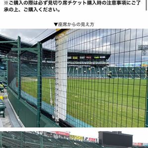 4/28日曜日 阪神vsヤクルト 14:00開始 一塁側アルプス席見切り席1枚の画像2