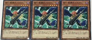 遊戯王 ノーマル 効果モンスター 3枚セット BF-黒槍のブラスト DP20