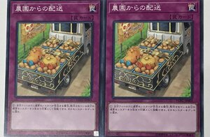 遊戯王 ノーマル 罠 2枚セット 農園からの配送 YCPC