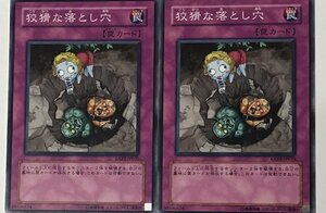 遊戯王 ノーマル 罠 2枚セット 狡猾な落とし穴 EXP2