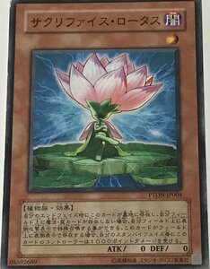 遊戯王 ジャンク ノーマル 効果モンスター 1枚 サクリファイス・ロータス PTDN