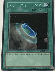 遊戯王 ジャンク ノーマル 魔法 1枚 テラ・フォーミング SD13