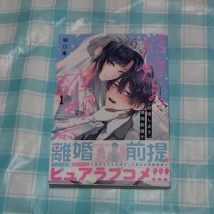 結婚しよう。離婚前提で。　１巻