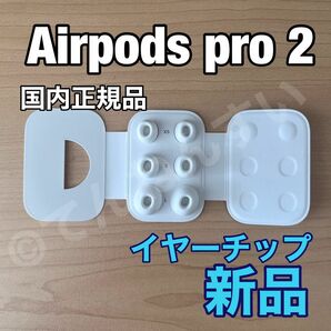 Airpods Pro イヤーチップ【 XS & S & L サイズ 】x 2 新品未使用