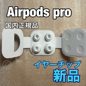 Airpods Pro イヤーチップ【 S & L サイズ 】x 2 新品未使用