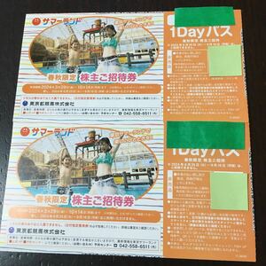 【最新】 東京サマーランド 春秋限定 株主ご招待券 1Dayパス2枚セット ミニレター対応63円 2024年10月14日 フリーパス 東京都競馬 株主優待