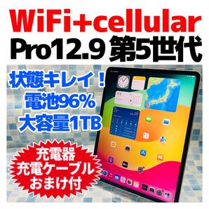 iPad Pro 12.9 第5世代 本体 1TB 556 セルラー SIMフリー シルバー