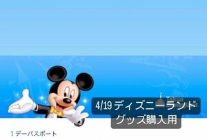 ディズニーランド　グッズ購入用 チケット 入園済 ディズニー