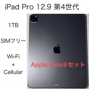 Apple iPad Pro 12.9インチ 第4世代 2020 Cellular版 SIMフリー 中古 本体 ケース
