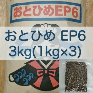 【送料無料】おとひめEP6 沈下性 3kg(1kg×3) 真空パック エイ ポリプテルス エンドリ ダトニオ キャット なまず