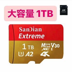 【大容量1TB】マイクロSDカード SD変換アダプター付き SanDian microSDカード ニンテンドースイッチ